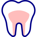 best endodontic clinic in trivandrum